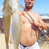 Wade-angler Logan Wiederfeld of Baton Rouge LA fished a chartreuce 52MR MirrOlure in the surf to catch these BIG specks topped by a 29inch- 8lb gator-speck