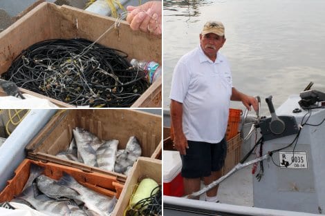 Meet commercial fisherman Michael Blevins. Blevins lays out his 300' trotlines every week to harvest black drum. This day's catch was about 450 pounds. 