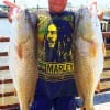 Chris Walker of League City TX hauled in these two nice slot reds he took on finger mullet