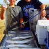 Father and son fishing team of Danny and Dillan Balch of Liberty TX tailgated this nice catch of specks caught on twister tails