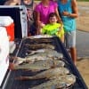 Fishing their fathers - Mark Shivers- Memoriam fishing trip- the Shivers family tailgated this impressive catch of gafftop- trout- and flounder