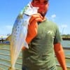 Ethan McAutin of Houston took this nice spanish mackerel on a Lil' Fishy