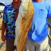 Fishin buds Jeff Gaffney and James Fontenot of Houston wrestled this HUGE 38unch Bull Red in while fishing a finger mullet