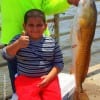 Houston angler 6yr old Jonathon Delacruz caught this 34inch Bull Red he took on shrimp