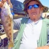 Les Rodman of Houston nabbed this nice Atlantic Whiting while fishing shrimp