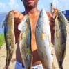 Louis Goudeau of League City TX fished the WALL with live croaker for these nice specks