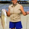 Angelina Rodriguez of Old River TX became discombobulated when catching this 33inch bull red after her reel fell off the rod while she landed the critter on 10lb test line