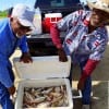 Croaker anglers Floyd Patterson and Rodney Johnson of Houston 44 filled their cooler with golden croaker while fishing shrimp