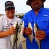 Diana and Rene Garza of Spring TX loaded up with mackerel they caught on finger mullet