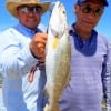 Father and son fishing team Rolly and Jonry Edralin of Sugar Land TX nab this nice speck fishing a finger mullet
