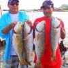 Fishin buds Baldo Pineda and Ray Chapa of Pasadena TX landed these nice reds they took on live shrimp