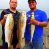 Fishin buds JD Scroggins and Carlos Gonzales of Channelview TX took these nice reds and a HUGE skipjack on cut mullet