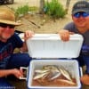 Fishin buds Miller Jenkins and Eloy Garza of Jacksonville filled their cooler with croaker while fishing shrimp