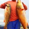 Francisco Garza of Magnolia TX took these 27 slot and 43inch BULL Reds on finger mullet