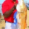 Horace Jones of Houston caught this 32inch tagger bull red on shrimp