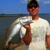 Jeremy Mays of Channel View TX put this nice 20inch speck in the box fishing a finger mullet