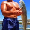 Jerry McAllester of Rusk TX tagged this 30inch bull red he caught on a finger mullet