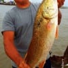 Jose Gonzales of New Haven CONN took this 27inch slot red while fishing a finger mullet