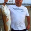 Omar Rodriguez of Houston took this HUGE 38inch tagger BullRed on shrimp
