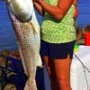 Sharon Barker of Koontze TX nabbed this 41inch tagger bull red on finger mullet- but then released it back to Rollover