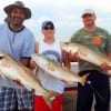 The East TX Redfishing Krewe of Rusk took these 3 tagger bull reds while fishing cut croaker
