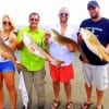 The Four Amigo Redfish Krewe of Colmesniel TX took these tagger bull reds on cut croaker