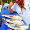 The Queen Bee of the Vantreese Fishing Krewe shows off her drum and croaker catch for today