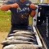 Working on a limit, informed Gary Fruge of Mont Belvieu TX, the HFD Vet further stated he was fishing 808 MirrOlures and Hogan-Rs to catch speckled trout and redfish