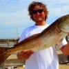 Austin TX angler Chris Hasty fished a croaker head for this HUGE 39inch tagger bull red