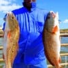 Doctor Phill of Houston nabbed these two nice slot reds while fishing shrimp and shad