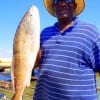 Eddy Surf of Humble TX nabbed this nice 26inch slot red while fishing shrimp