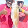 Father & Son fishing team Leonard James SR and Jr took this 31inch tagger bull red on cut mullet