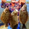Frank MO Bunyard of Tarkington Prairie TX took these three nice flounder on finger mullet