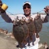 Fred Williams of Missouri City TX waded Rollover bay with Berkely Gulp for these nice flounder