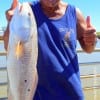 Kauai Hawaii angler Stan Peeples took this nice 26inch slot red on a finger mullet