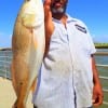 Kevin Davis of Houston took this nice 25inch slot red on shrimp