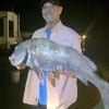 LE Byrd of Huntsville TX fished Berkely Gulp to catch and release this HUGE black drum during the night-shift