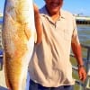 Leonard Fields of Houston caught this 29inch tagger bull red while fishing a finger mullet
