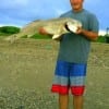Lonnie Lowe Jr of Goodrich TX caught and released this 37inch bull red he took on cut mullet