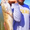 TJ Mohammed of League City TX tagged this nice 30inch bull red he caught on cut shad