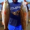 Terry McCray of Houston nabbed these rwin 26inch slot reds he caught on shrimp