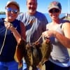 The Jones Family of Conroe TX fished with mud minnows to tether up these five nice flounder
