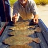 Alvin TX angler James Fontenot took this nice limit of flatfish on Berkley Gulp