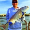 Channelview TX angler Chad Wildman fished cut croaker to catch and release this huge 35inch tagger bull red