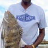 Eugene Mayes of Crosby TX nailed this nice sheephead on live shrimp