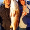 Fishin buds Hunter Hagur and Clay Lucas of Splendora TX heft this HUGE 39inch tagger bull red caught on cut piggy