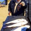 Fishing a popular redfish spinner bait- Eddie Broussarrd of Missouri City TX caught these 24- 22- and 21inch speckled trout