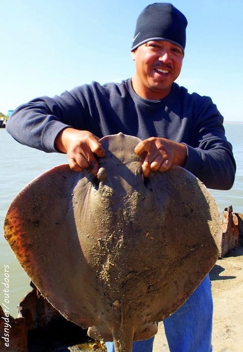 Juan Cobos of Houston tangled with this estimated 35lb Ray and WON ...