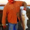 Juan Franco of Magnolia TX caught and tagged this HUGE 34inch bull red while fishng with shrimp