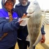 Kathy and Leonard James of Austin teamed up to catch this nice drum she took on shrimp